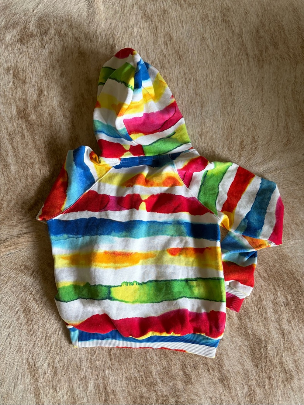 Polo by Ralph Lauren Multicolor Watercolor Stripe Hoodie